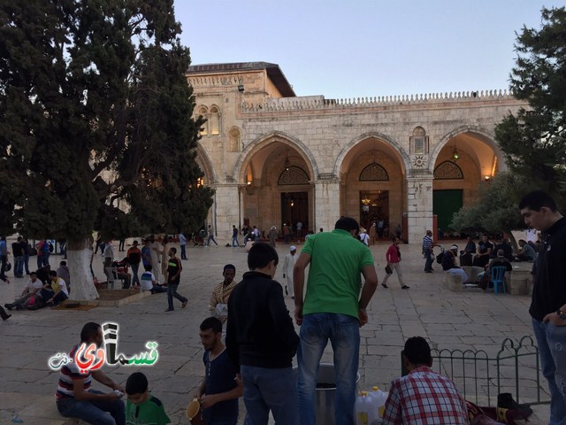 كفرقاسم : شباب كفرقاسم في رحاب المسجد الاقصى في العشر الاواخر من شهر رمضان المبارك 